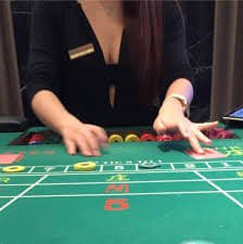 vck33
